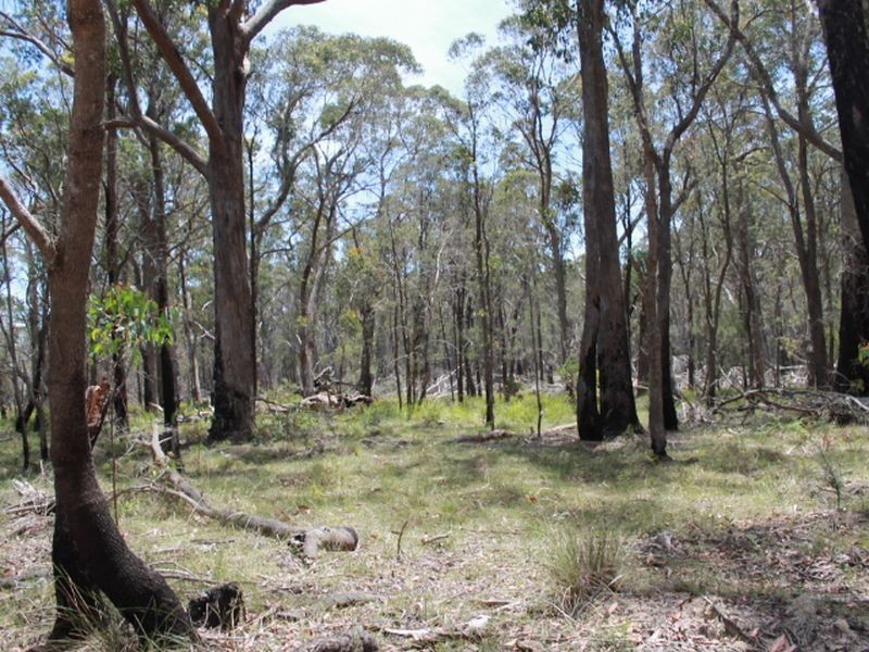 Lot 32 Skeleton Creek Rd, Glen Innes NSW 2370