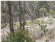 Lot 32 Skeleton Creek Rd, Glen Innes NSW 2370