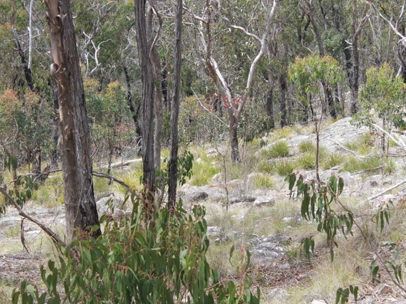 Lot 32 Skeleton Creek Rd, Glen Innes NSW 2370