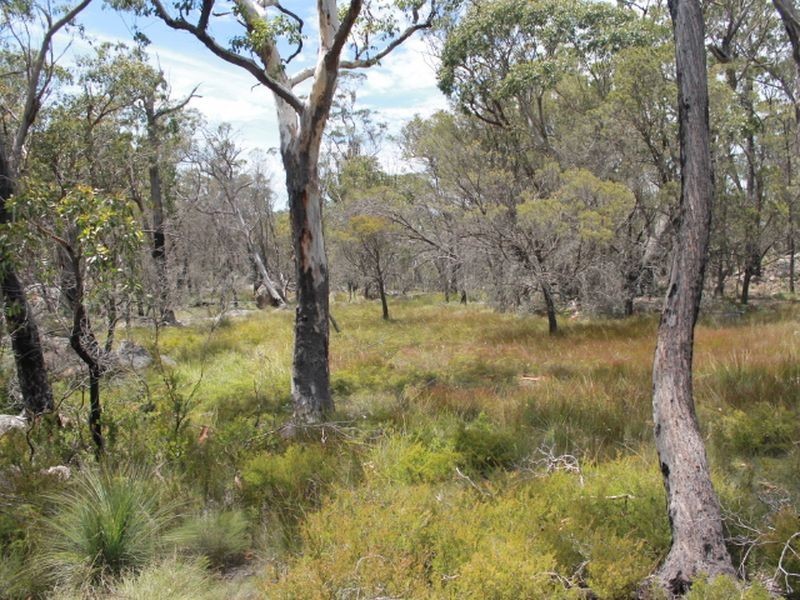 Lot 32 Skeleton Creek Rd, Glen Innes NSW 2370