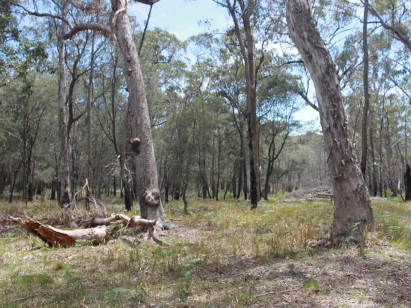 Lot 32 Skeleton Creek Rd, Glen Innes NSW 2370