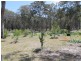 Lot 32 Skeleton Creek Rd, Glen Innes NSW 2370