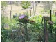 Lot 32 Skeleton Creek Rd, Glen Innes NSW 2370