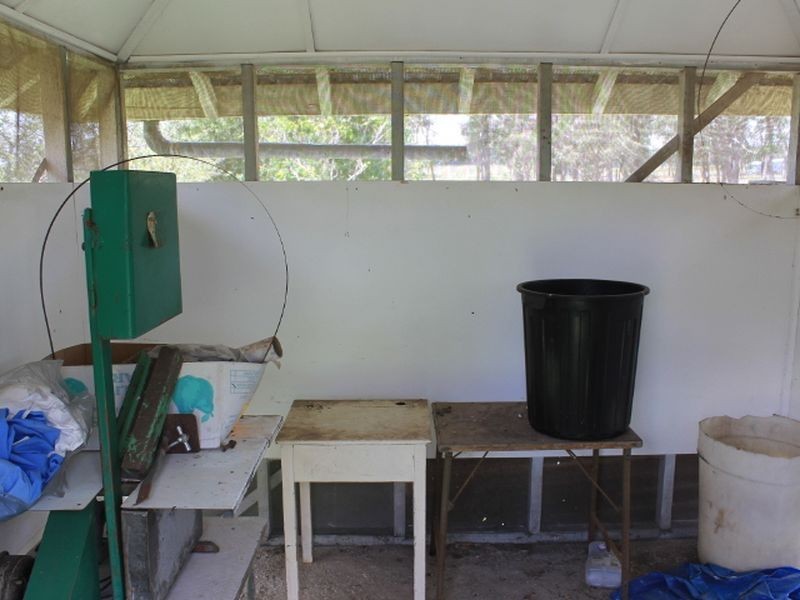 500 Silent Grove Rd, Torrington NSW 2371