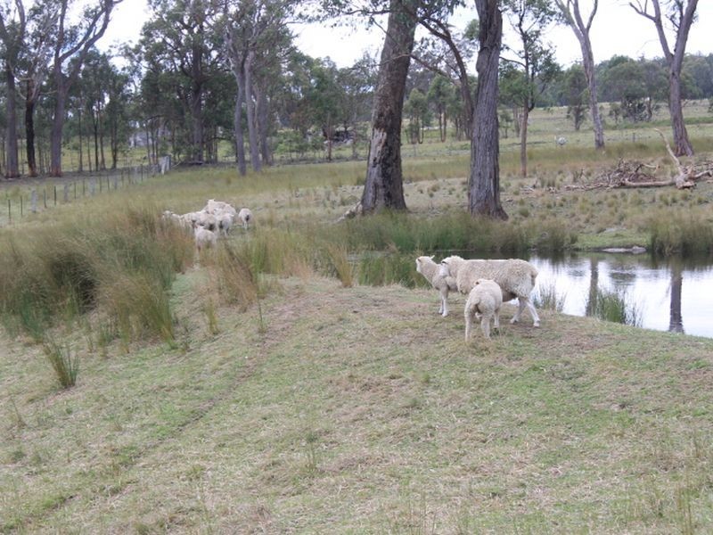 500 Silent Grove Rd, Torrington NSW 2371