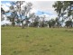 Lot 323 Torrington Rd, Deepwater NSW 2371