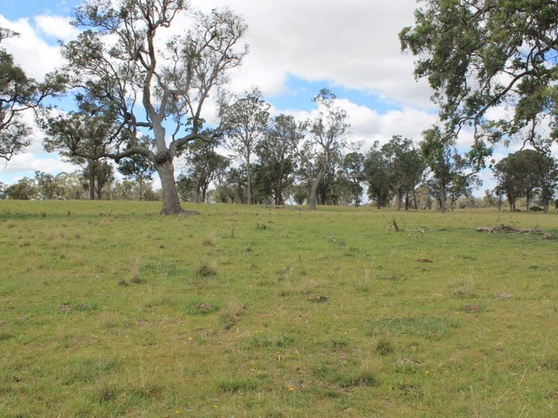 Lot 323 Torrington Rd, Deepwater NSW 2371