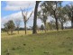 Lot 323 Torrington Rd, Deepwater NSW 2371