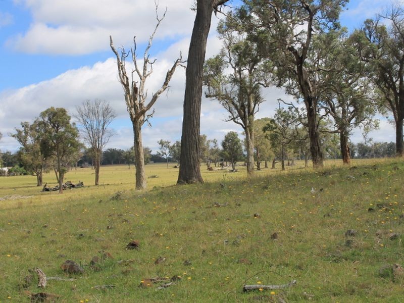 Lot 323 Torrington Rd, Deepwater NSW 2371