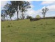 Lot 323 Torrington Rd, Deepwater NSW 2371