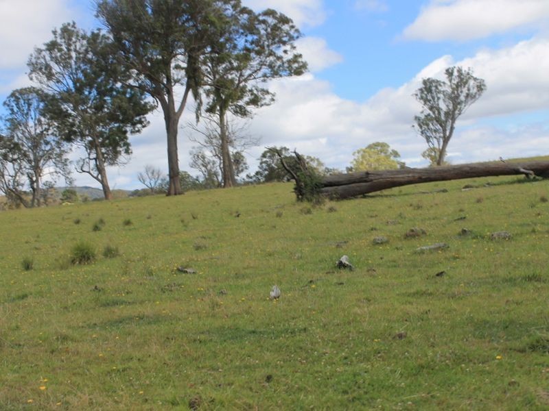 Lot 323 Torrington Rd, Deepwater NSW 2371