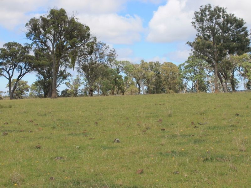 Lot 323 Torrington Rd, Deepwater NSW 2371