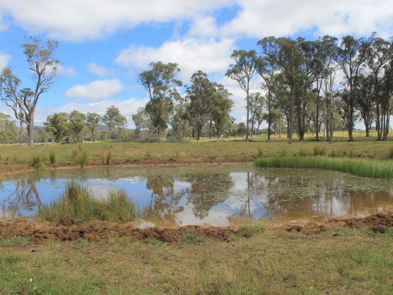 Lot 330 Torrington Rd, Deepwater NSW 2371