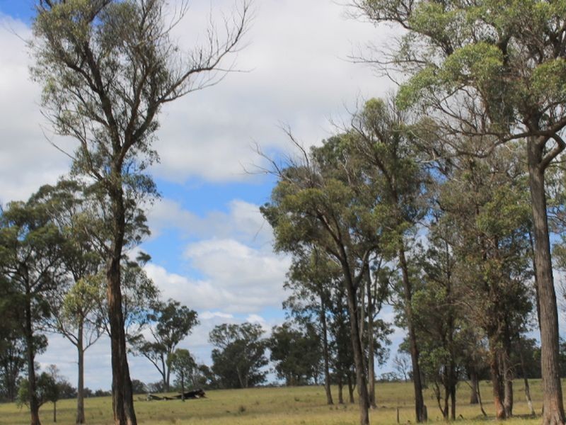 Lot 330 Torrington Rd, Deepwater NSW 2371