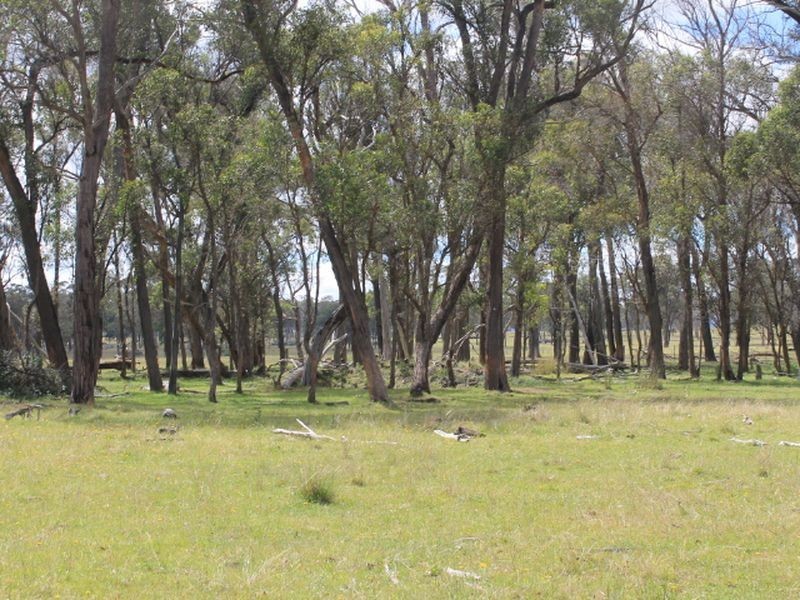 Lot 330 Torrington Rd, Deepwater NSW 2371