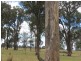 Lot 330 Torrington Rd, Deepwater NSW 2371