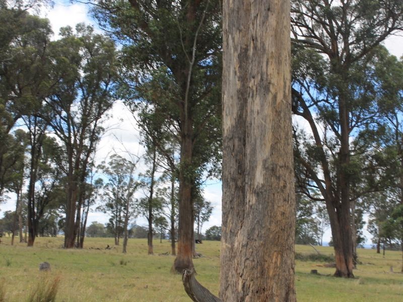 Lot 330 Torrington Rd, Deepwater NSW 2371