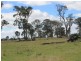 Lot 330 Torrington Rd, Deepwater NSW 2371