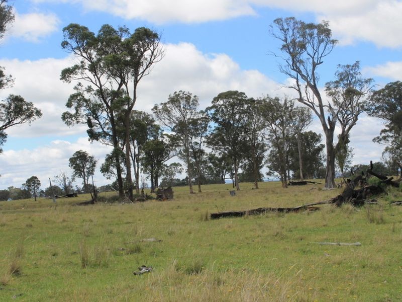 Lot 330 Torrington Rd, Deepwater NSW 2371
