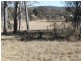 Lot 3 Wellingrove Rd, Glen Innes NSW 2370