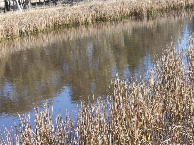 Lot 3 Wellingrove Rd, Glen Innes NSW 2370