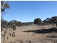 Lot 3 Wellingrove Rd, Glen Innes NSW 2370