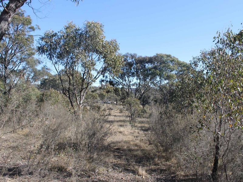 Lot 3 Wellingrove Rd, Glen Innes NSW 2370