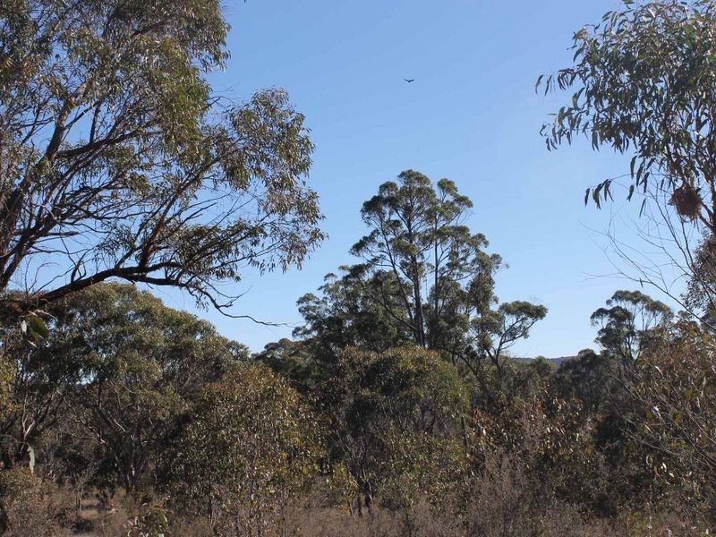 Lot 3 Wellingrove Rd, Glen Innes NSW 2370