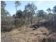Lot 3 Wellingrove Rd, Glen Innes NSW 2370