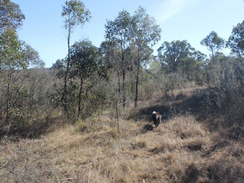 Lot 3 Wellingrove Rd, Glen Innes NSW 2370