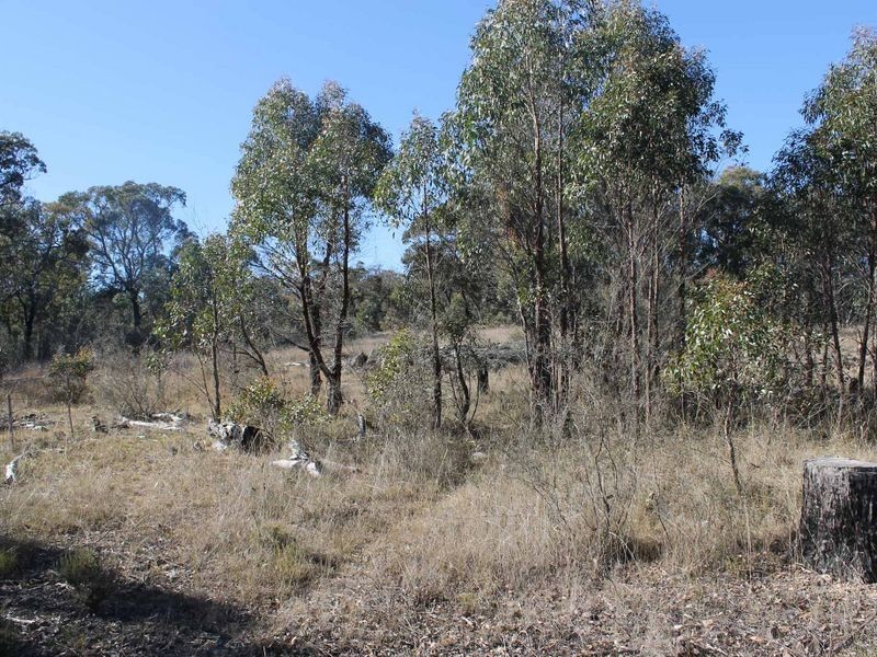 Lot 3 Wellingrove Rd, Glen Innes NSW 2370