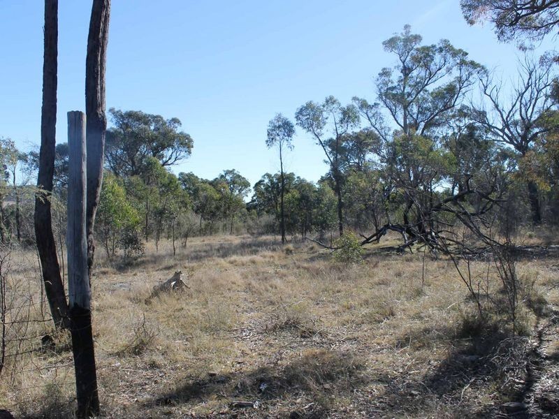 Lot 3 Wellingrove Rd, Glen Innes NSW 2370