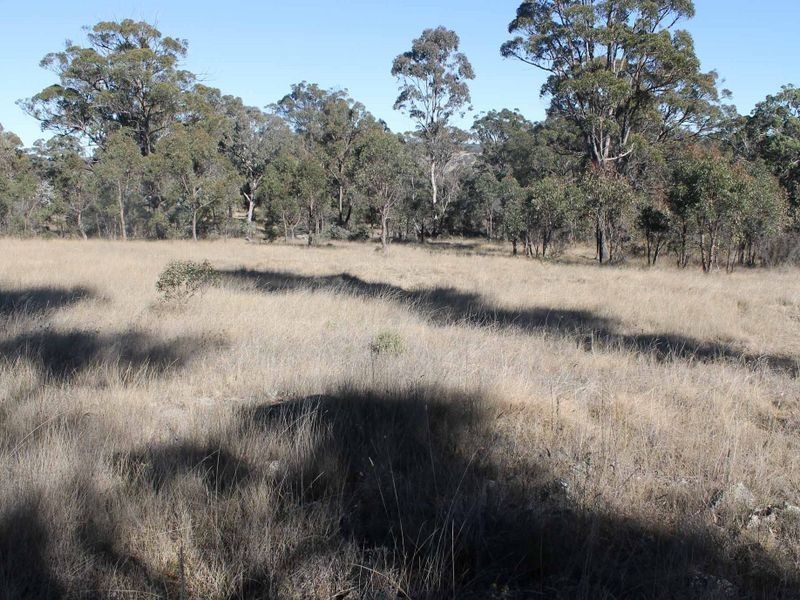 Lot 3 Wellingrove Rd, Glen Innes NSW 2370