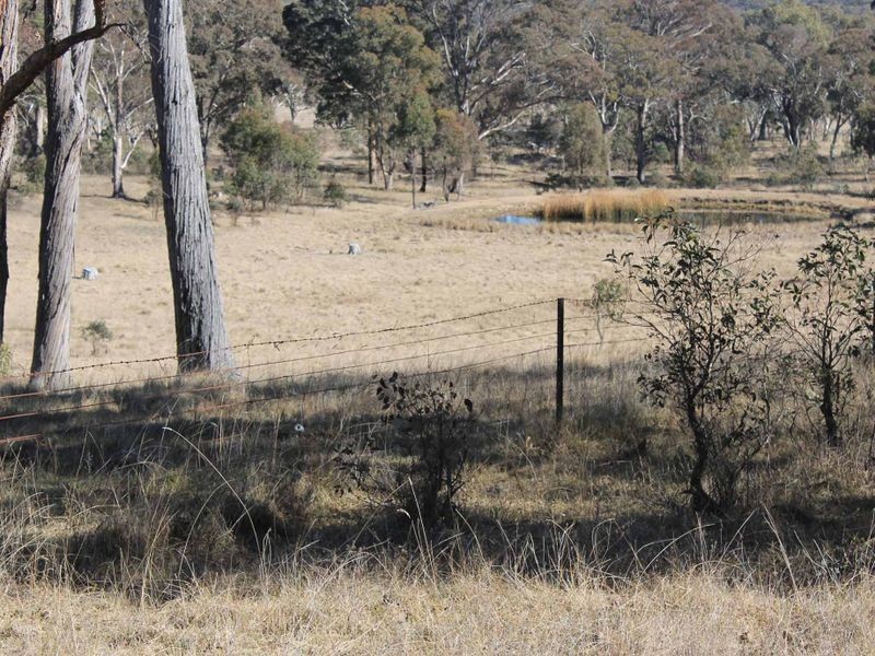 Lot 3 Wellingrove Rd, Glen Innes NSW 2370