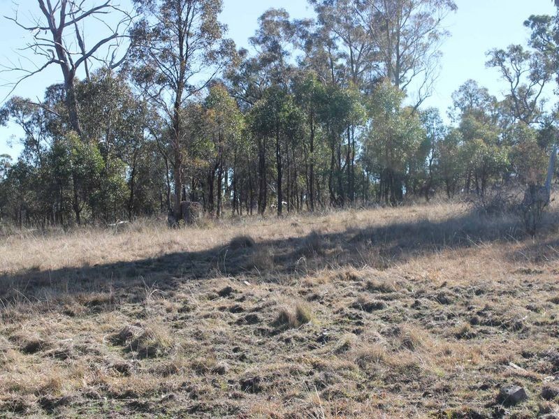 Lot 3 Wellingrove Rd, Glen Innes NSW 2370