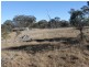 Lot 3 Wellingrove Rd, Glen Innes NSW 2370