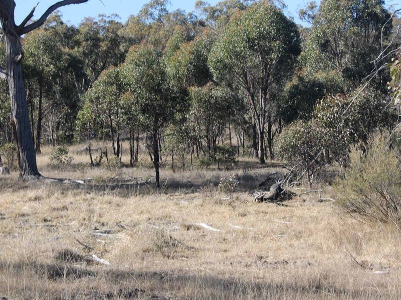 Lot 3 Wellingrove Rd, Glen Innes NSW 2370