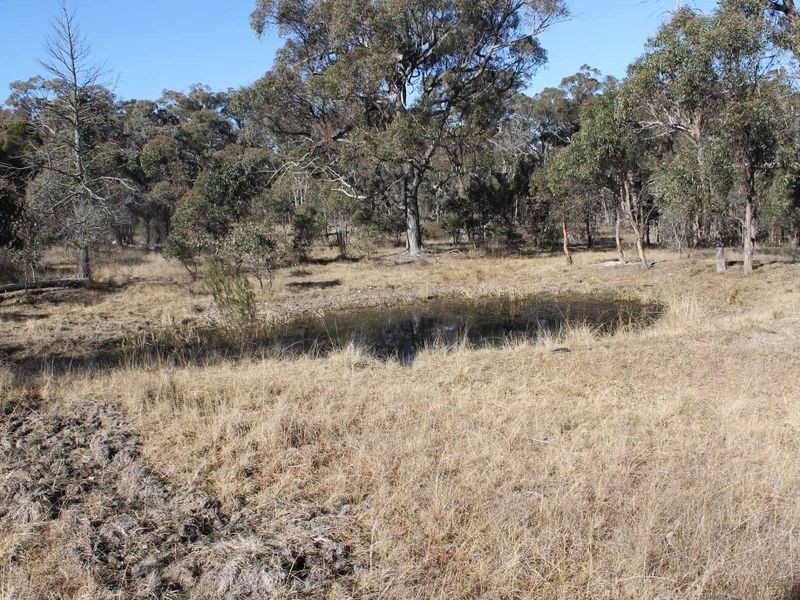 Lot 3 Wellingrove Rd, Glen Innes NSW 2370