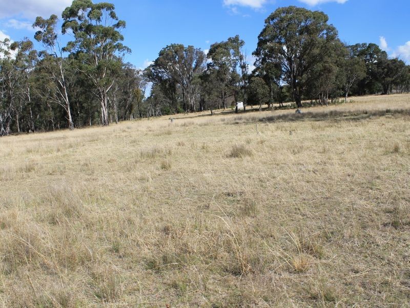 Lots 180-1 Torrington Rd, Deepwater NSW 2371
