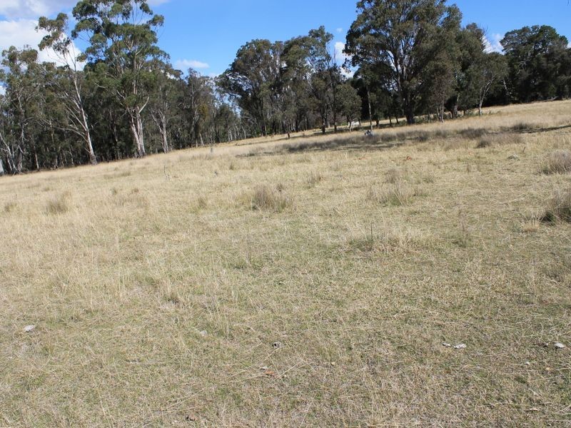 Lots 180-1 Torrington Rd, Deepwater NSW 2371