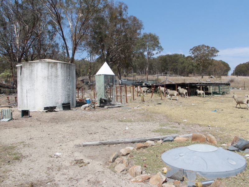 2137 Wellingtonvale Rd, Emmaville NSW 2371