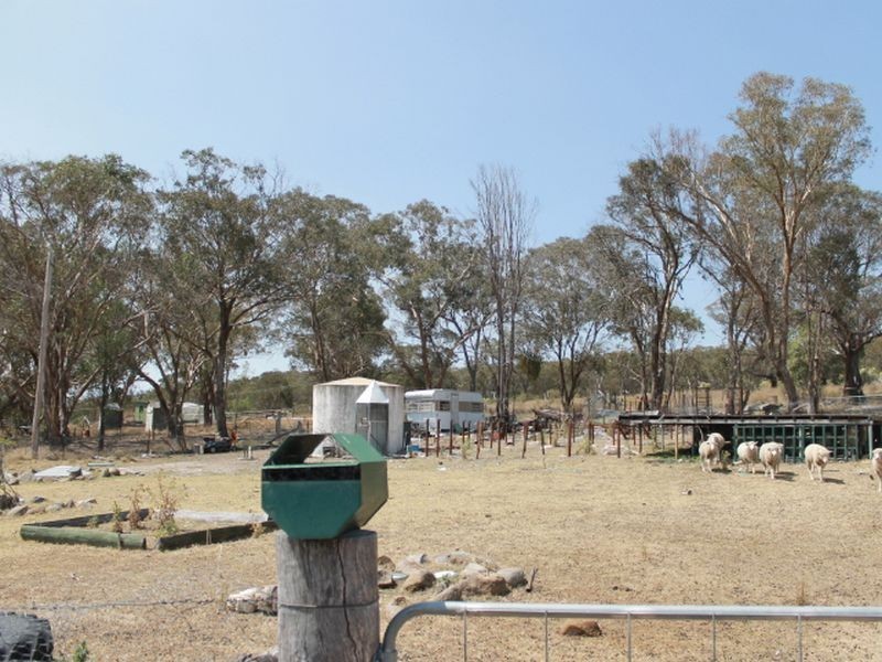 2137 Wellingtonvale Rd, Emmaville NSW 2371