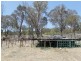 2137 Wellingtonvale Rd, Emmaville NSW 2371
