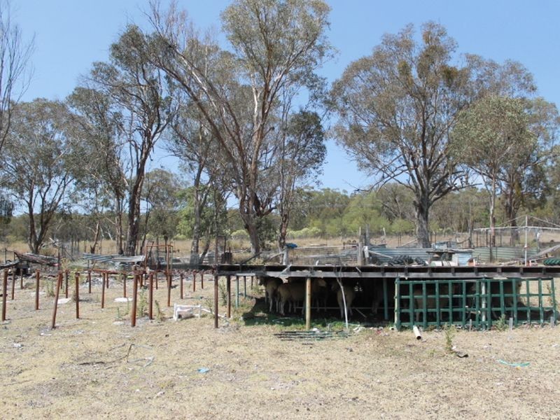 2137 Wellingtonvale Rd, Emmaville NSW 2371