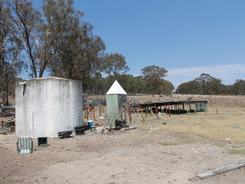 2137 Wellingtonvale Rd, Emmaville NSW 2371