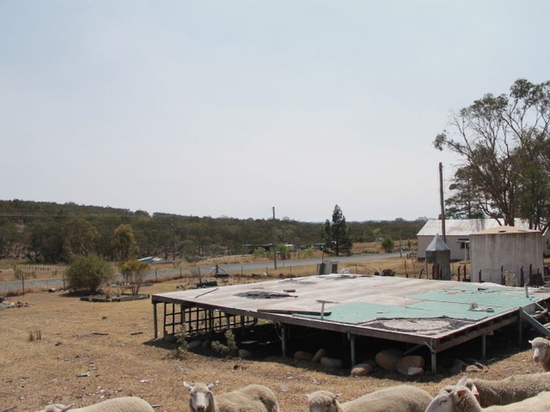 2137 Wellingtonvale Rd, Emmaville NSW 2371