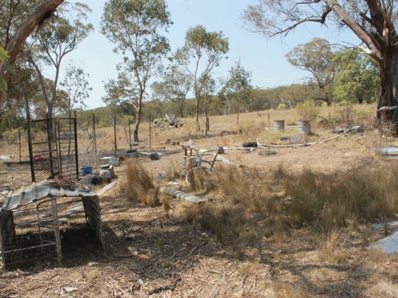 2137 Wellingtonvale Rd, Emmaville NSW 2371