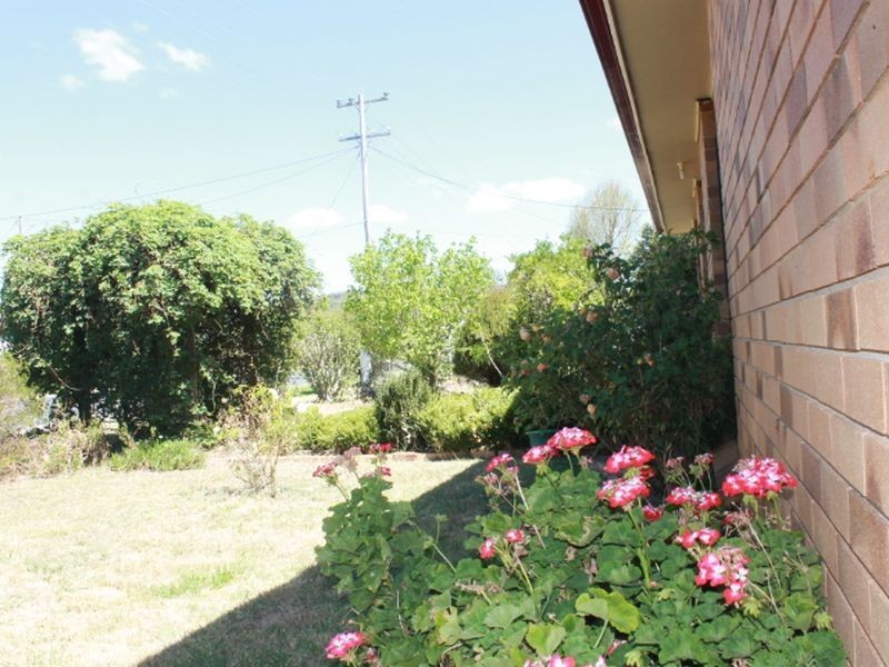 81 Moore Street, Emmaville NSW 2371