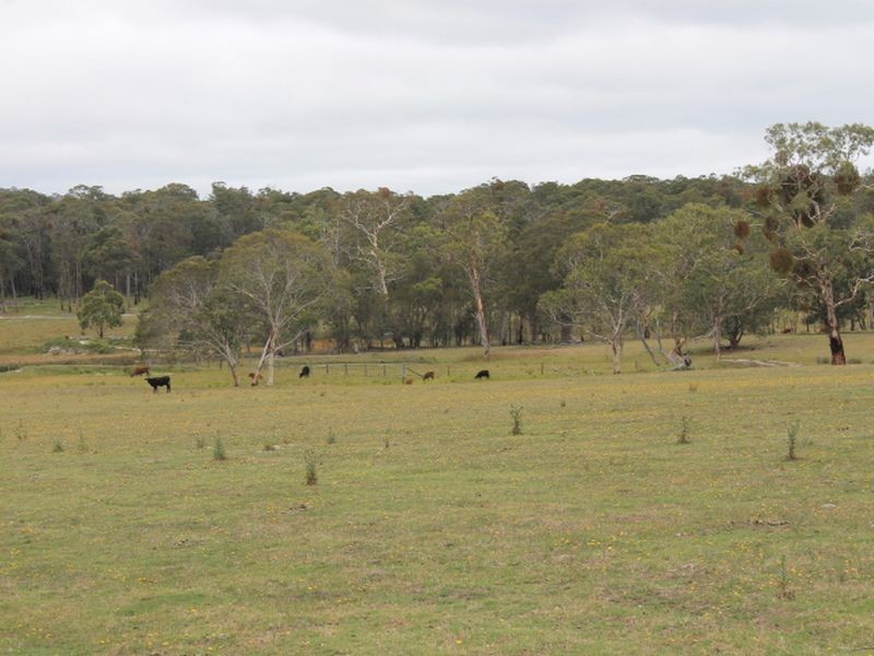 1/174 Watsons Road, Glen Innes NSW 2370