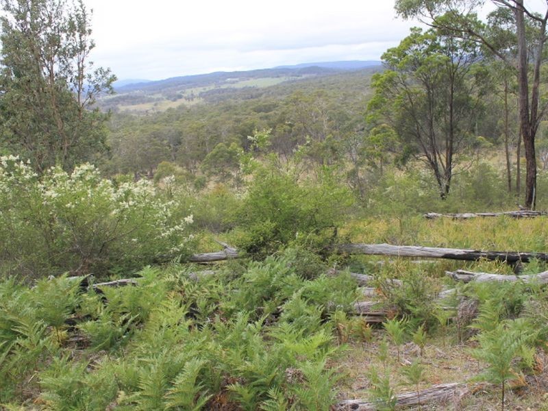 1/174 Watsons Road, Glen Innes NSW 2370